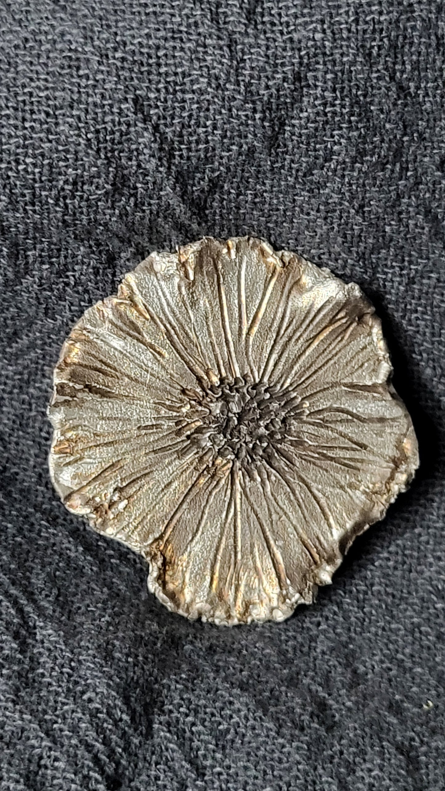WORKSHOP "ZILVERKLEI" 